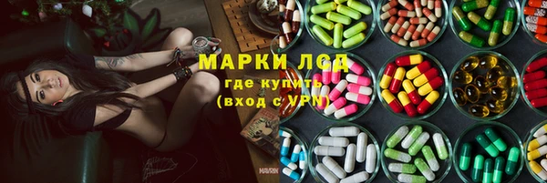 ECSTASY Богданович